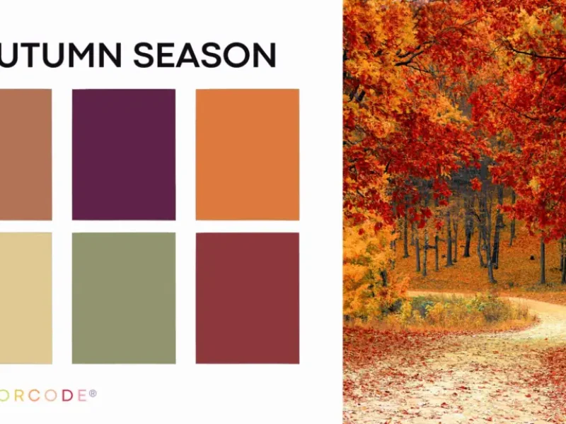 COLORCODE-autumn-seasonal-color-palette-1024x576